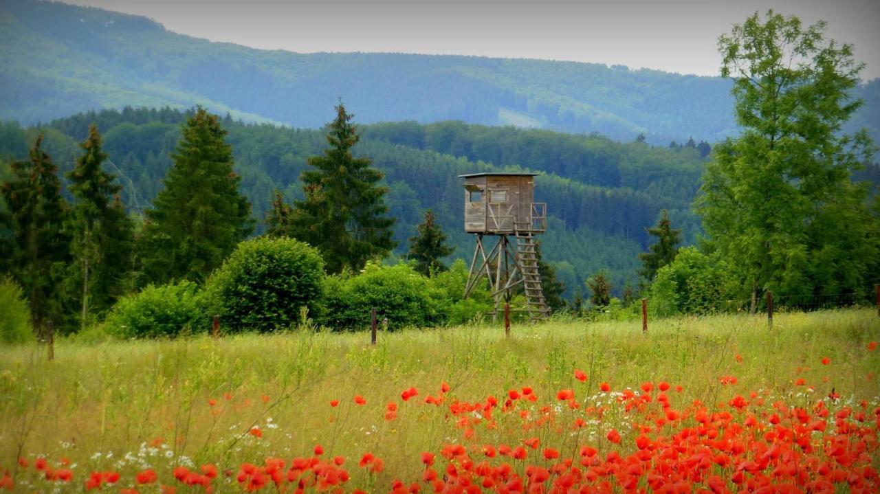 Ferienwohnung Warstein Exteriör bild